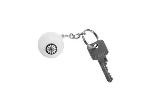 Indian Maharadja sleutelhanger hockeybal